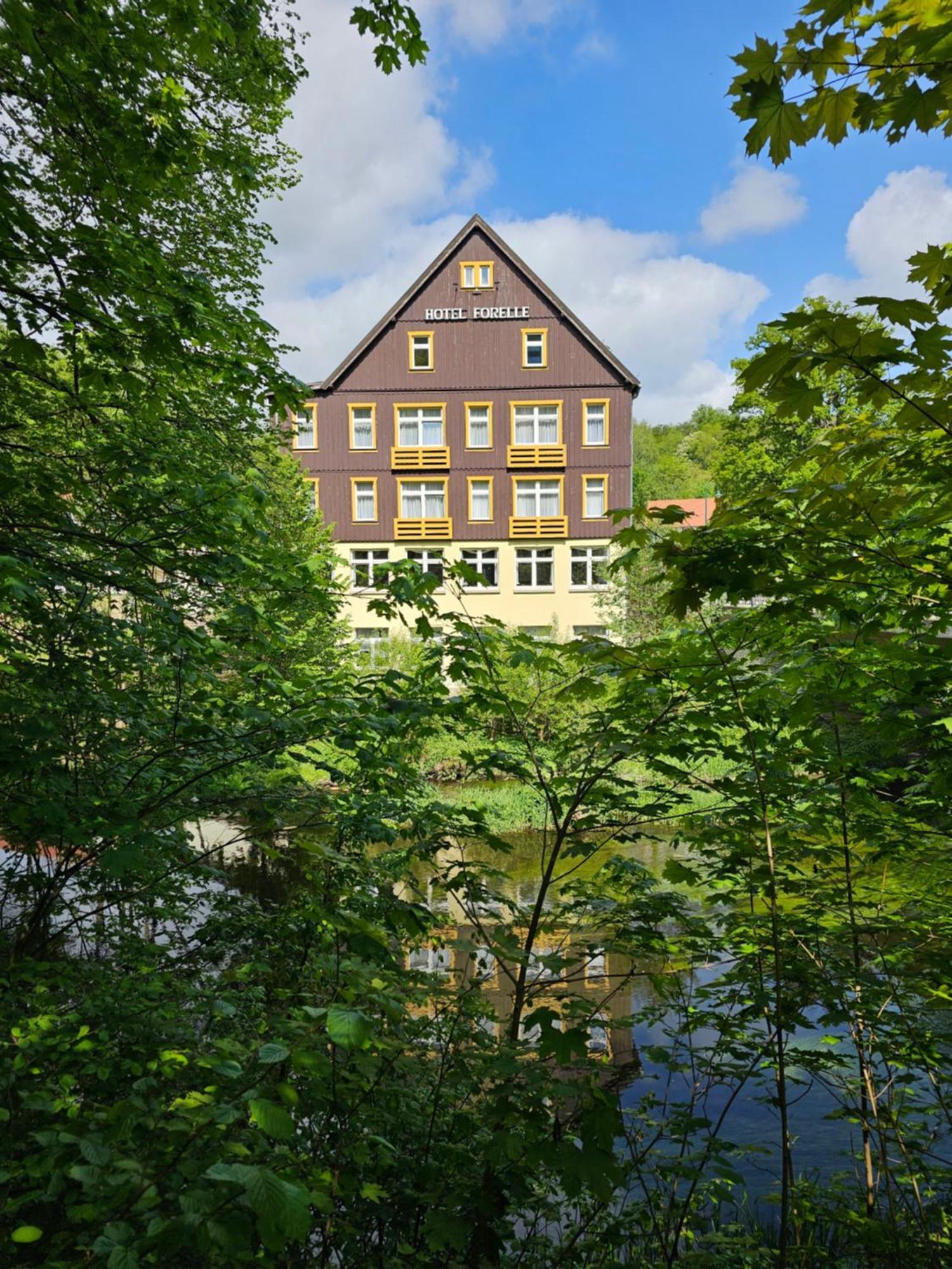 Greenline Ferienhotel Forelle Thale Exterior foto